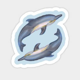 dolphin fish swim water ocean aquatic cetacean whale underwater animal Sticker